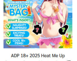 Anime Dakimakura Pillow