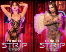 Dorcel Vision